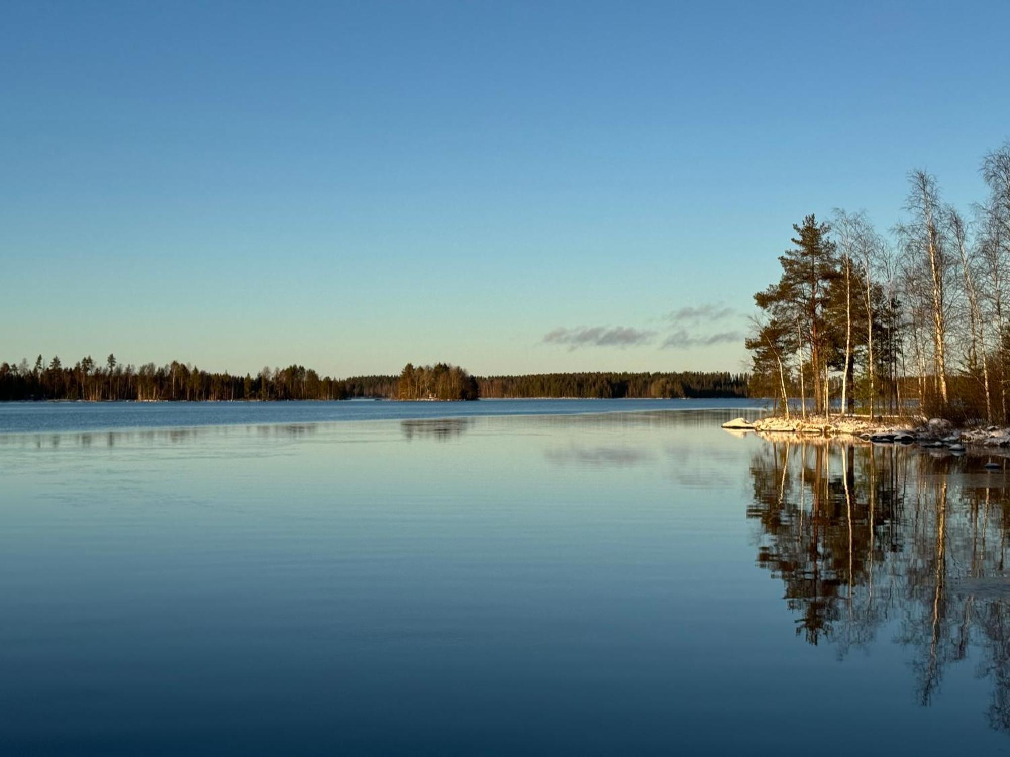 Tiiringolf Cottages Nilsiä Dış mekan fotoğraf