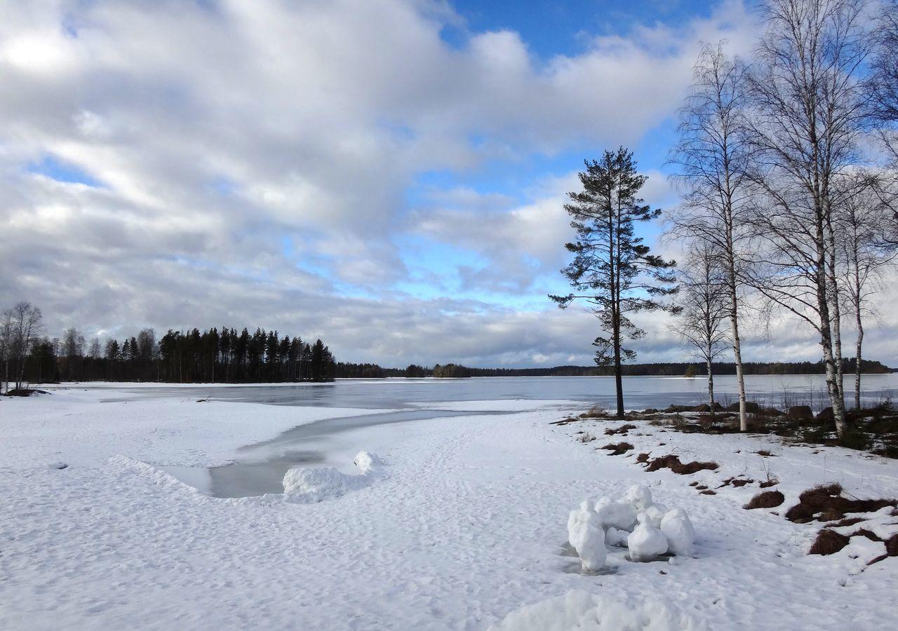 Tiiringolf Cottages Nilsiä Dış mekan fotoğraf